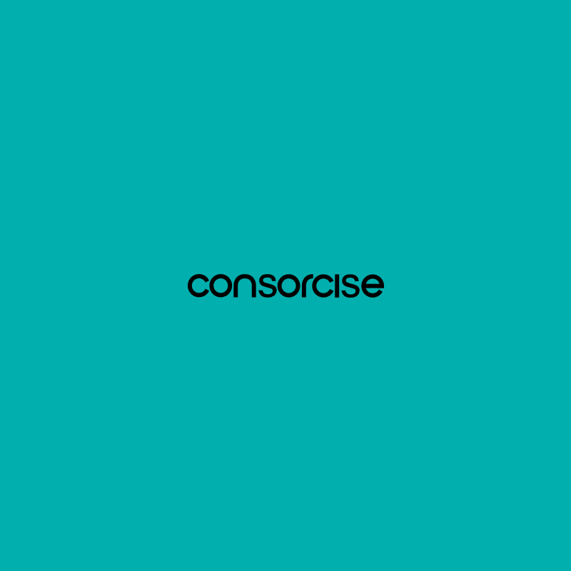 Consorcise Assessoria Ltda